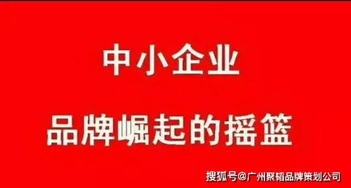 中小企業如何通過專業經濟貿易咨詢，高效打造品牌策劃